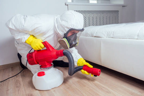 Best Flea Control Services  in North Wildwood, NJ