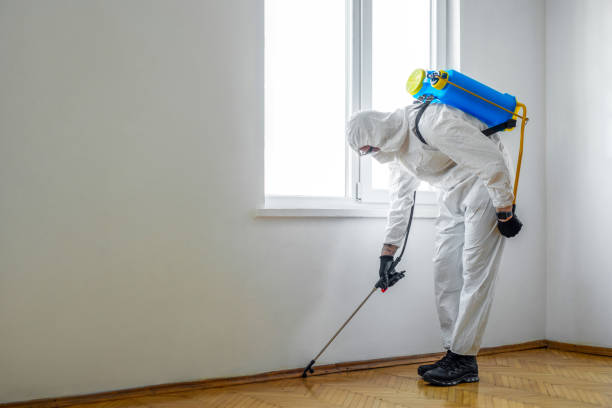 Best Pest Removal Services  in North Wildwood, NJ